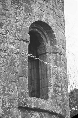 TIMAHOE ROUND TOWER